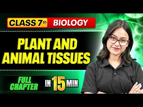 Plant and Animal Tissues | ICSE Class 7 Biology || Complete Chapter In 15 Minutes🎯
