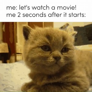 Can you relate to this? It's tiring being a parent 😂 (Via Cosmopolitan) | IRIS ParentMail