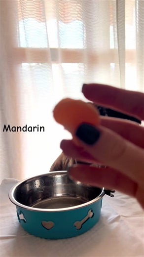 ASMR with Boxers: Relaxing Sounds for Dog Lovers