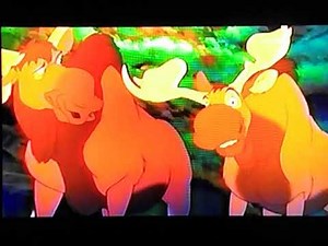 Opening To Stitch:The Movie 2003 VHS