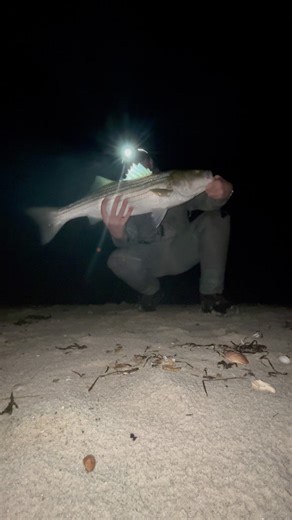 #GetFishorDieTrying Surfcasting a Solid Over-Slot Striped Bass | Cape Cod Fall Run