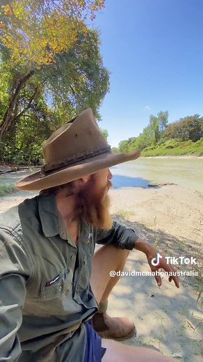Crocodiles in Northern Australia: Exploring the Apex Predators in its Rivers