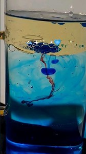 🎆DIY FIREWORKS🎆