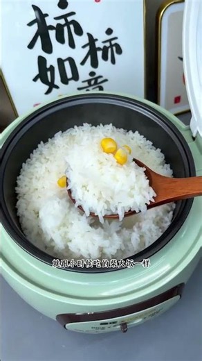 Mini Rice Cooker for Small Families: Perfect for Quick Meals