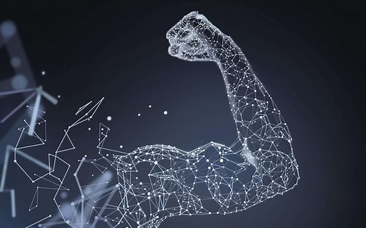 【paddlex全家桶（三）】paddlex的落地使用，实现本地预测