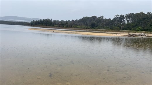 Robert Van Den Helm on Reels