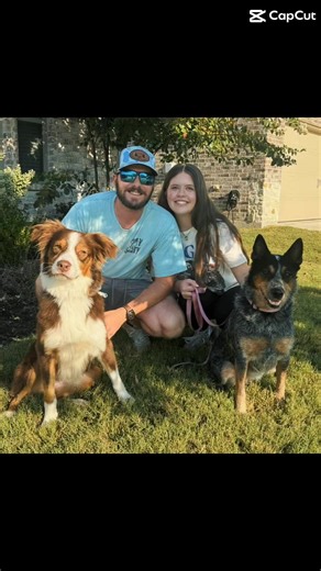 ✨ 2025 is shining extra bright with 30 adoptions this year! Every pup who found their forever home is a reminder of the magic you help make possible. Cheers to more lives saved, more happy endings, and more Aussie joy in 2026! ✨ #lonestaraussierescue #aussiesdoingthings #aussiesoftexas | Lone Star Aussie Rescue