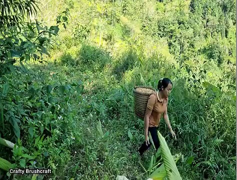 133K views · 2.4K reactions | Harvesting peanuts, bringing them to the market to sell and making a vegetable garden | Crafty Brushcraft | Facebook