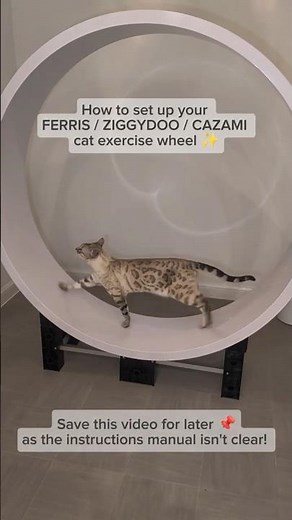 Ferris / Ziggy Doo / Cazami Cat Wheel Assembly 2026 - Main Wheel Setup