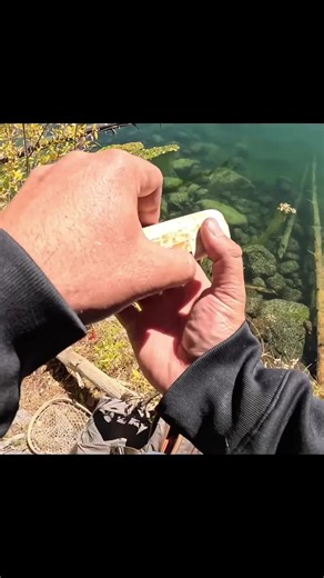 Giant Fall Time Trout Fishing Techniques