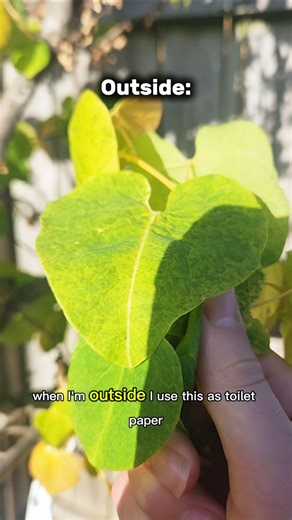 What Toilet Paper Looks Like In Different Places