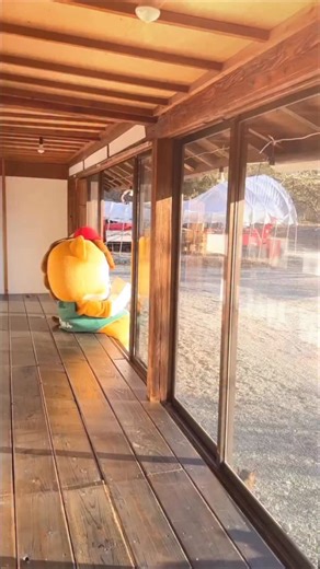 ぐんまちゃん on Instagram: "まったり過ごす年末って、なんだか幸せ～🐴 Taking it easy at the end of the year feels really nice!! #群馬県宣伝部長 #ぐんまちゃん #gunmachan #群馬"