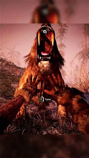 Taming the Sabertooth Tiger