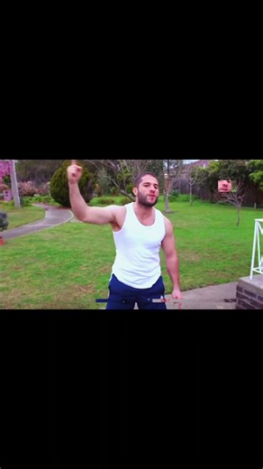 Explore the World of Superwog and Bobcats