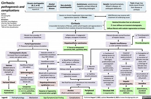 Cirrhosis: Pathogenesis and Complications | Calgary Guide