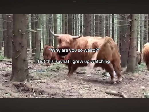 Peak Comedy Moments with Markiplier