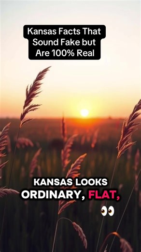 Kansas Facts That Sound Fake but Are 100% Real Heartland Horizons explores the Midwest beyond the surface. This channel uncovers hidden places, overlooked history, quiet towns, controversial decisions, and natural landscapes that shaped the heart of America. From Great Lakes shorelines and frozen state parks to buried communities, forgotten infrastructure, and small towns with stories most people never hear, every video is rooted in real locations and documented history. You’ll find Midwest myst