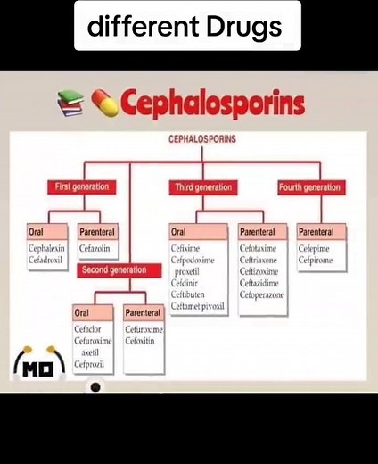 Understanding the Classification of Different Drugs in Pharmacology
