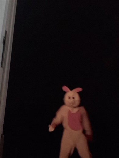 Thumper fan page (@thumper.fan.page)’s videos with original sound - Humphrey