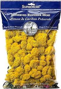 SuperMoss (21494) Reindeer Moss – Soft Preserved Moss for Home Decor, Crafts, Terrariums, Floral Design, and Wedding Decorations, 200 cu in, Sunflower