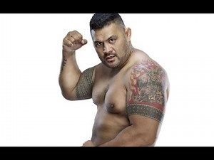 Mark Hunt - Living Legend by Johan Lofgren (Highlights HD)