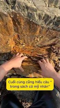 Tập 100: Tròn 100 ngày đào vàng #gold #daovang #viral #viralvideo #viralshorts