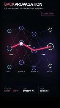 How to Train a Neural Network (Complete Workflow)