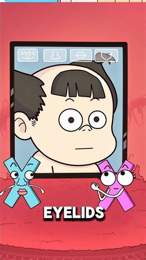 How Parents’ Genes Decide a Baby’s Appearance 🧬👶..!!#e2dhealth #animation #2dshow #fypシ #health