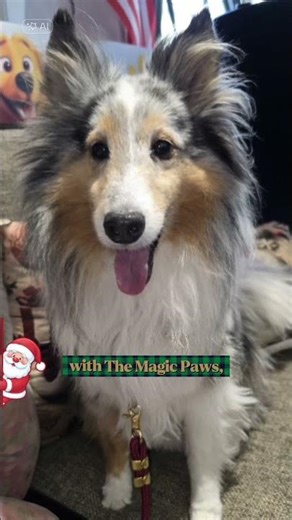 🐶🎄 Smile ready! 😁Healthy teeth = healthy pet 🐾💙 📞 321 440-3724 #PetSmile #HealthyTeeth