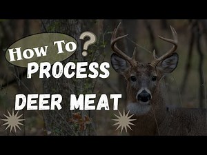 How To Process Deer Meat (Beginner Guide)