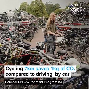 33K views · 837 reactions | Cycling paradise! Dutch people are cycling so much it’s equivalent to planting 54 million trees. One out of four trips is made by bike. The cities of the future!  By: World Economic Forum | Dutch Culture | Facebook
