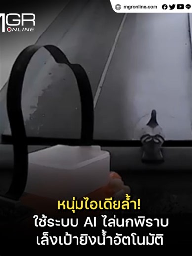 หนุ่มไอเดียล้ำ! ใช้ระบบ AI ไล่นกพิราบ เล็งเป้ายิงน้ำอัตโนมัติ #AI #นกพิราบ #เทคโนโลยี #viral #ข่าวtiktok