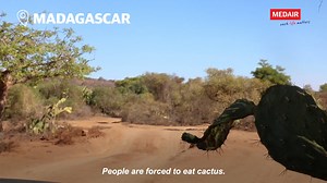 134 reactions · 38 shares | Here’s what you need to know right now about the situation in southern #Madagascar. 1. It’s catastrophic 2. Food insecurity is having a spillover effect into other areas of life 3. An emergency appeal by the UN to provide assistance to 1.1 million people is just 22% funded Here’s what Medair is doing to support families in southern #Madagascar: https://www.medair.org/what-we-do/madagascar/ | Medair | Facebook