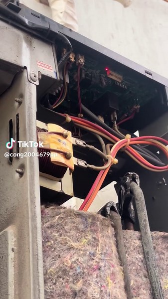 Bệnh nan giải của shap bị lần 3