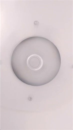 Fan song#trending#viral#youtube