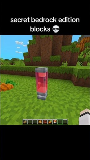 Minecraft Secret Blocks Moment