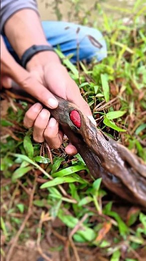 Le9end4 s4nca dep4 penghuni sung4i 4nk3r #shortvideo #shorts