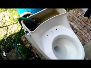 Crane Plumbing One Piece Toilet Flushing