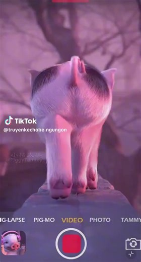 Kînłëy Tßhêrîñğ (@kinleykells)’s videos with original sound - Kînłëy Tßhêrîñğ