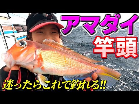 【アマダイ釣り】祝竿頭‼︎常識にとらわれない甘鯛の釣り方 高級魚を釣って堪能する【坂口丸】