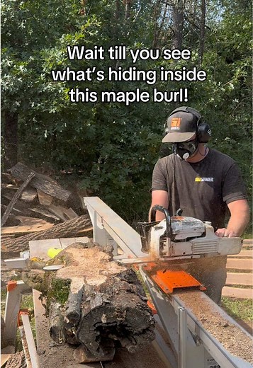 Discover Stunning Maple Burl in Woodworking Magic