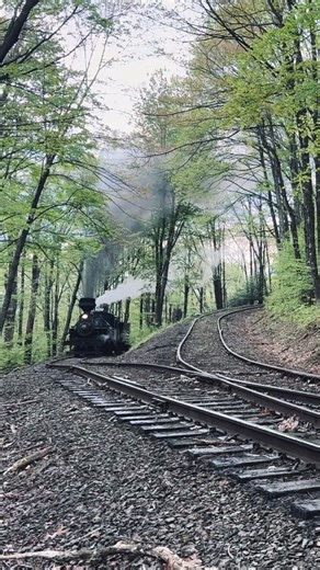 Bryan Burton on Instagram: "Heisler 6 approaching a switchback on the Cass Scenic Railroad."