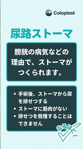 ストーマからの排せつ（ウロ）