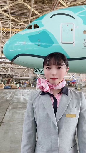 Flying Honu Cabin Attendant Trip to Hawaii