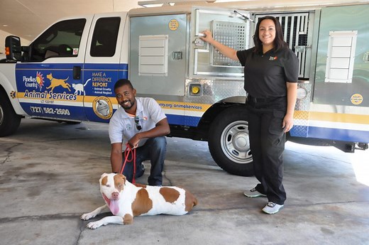 Animal Services Enforcement - Pinellas County