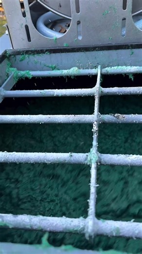 do you want to start up your own hydroseeding business? then contact us to see you through the process of setting up your own. #hydroseeding #lawncare #hydroseedingproduct #citrushydroseeding #fyp