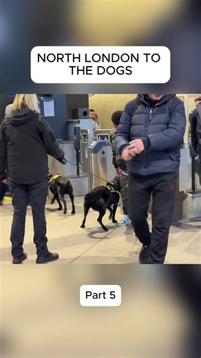 Exploring the Concepts of Anarchy and Spirituality