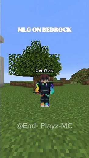 MLG in Java VS MLg on Bedrock 💀