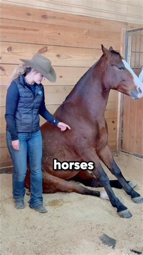 You Know NOTHING About Horses (3 Proofs) 🐎 #shorts