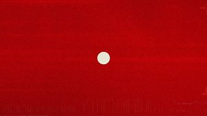 3.4K views · 19 reactions | 6 seasons and 1 INCREDI-BULL run! Head to court one last time with #JasonBull and the Trial Analysis Corp. team for a case that will change their lives forever! •The BULL SERIES FINALE is tonight at 10pm on CH.3.• | WFSB - Channel 3 Eyewitness News | Facebook